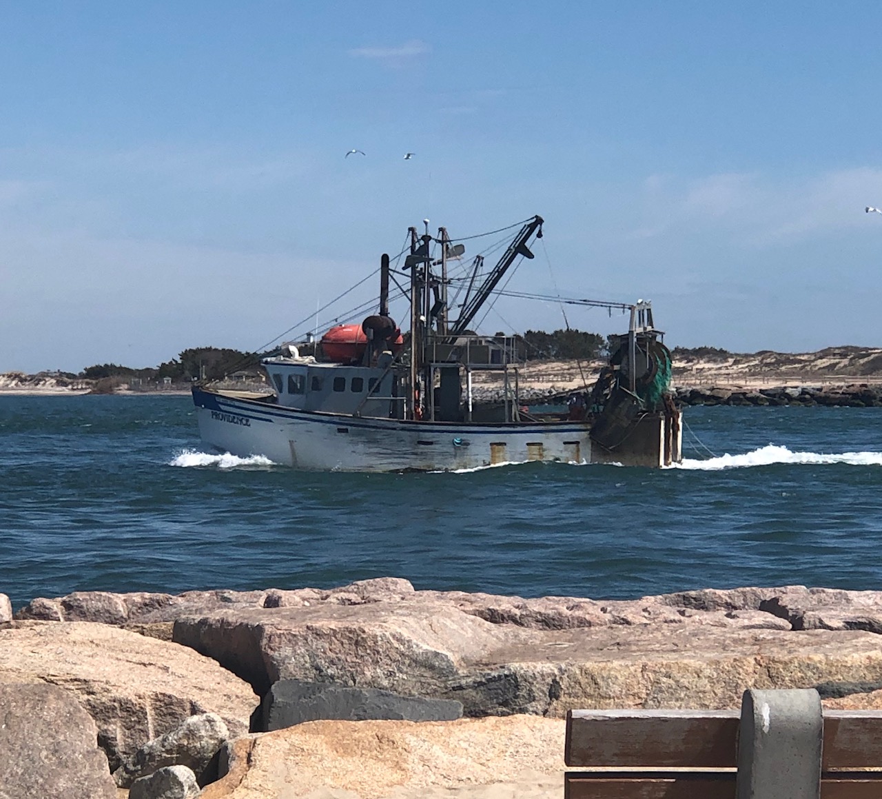 Picture Boat - Image 17